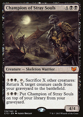 Champion of Stray Souls