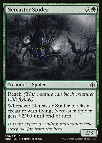 Netcaster Spider