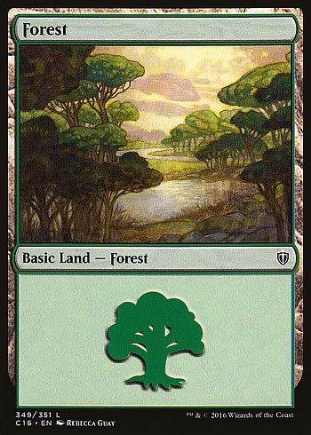 Forest