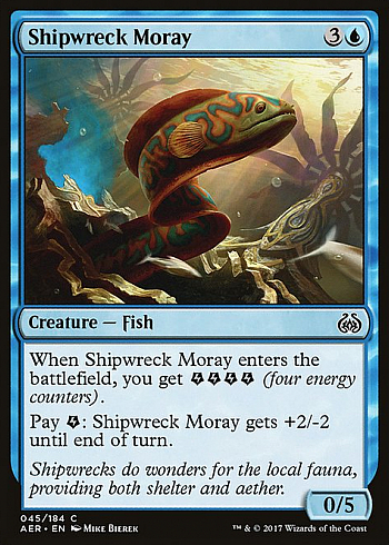 Shipwreck Moray