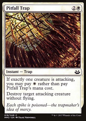 Pitfall Trap