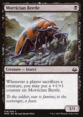 Mortician Beetle