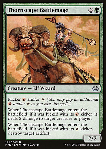 Thornscape Battlemage