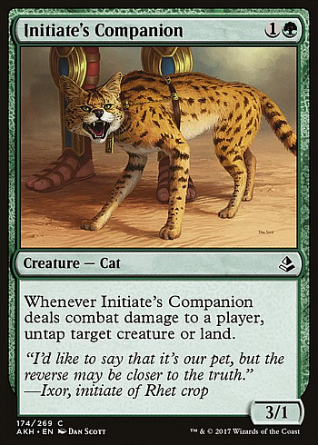 Initiate's Companion
