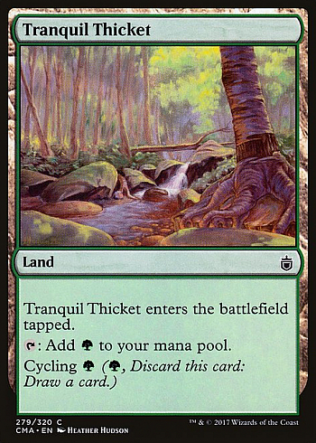 Tranquil Thicket