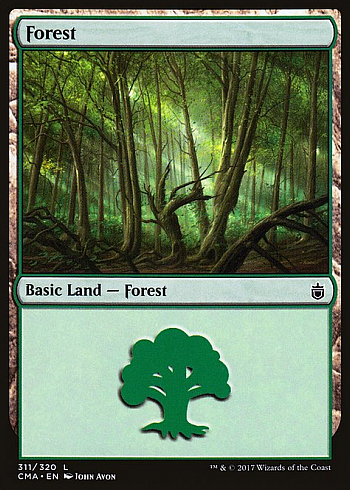 Forest