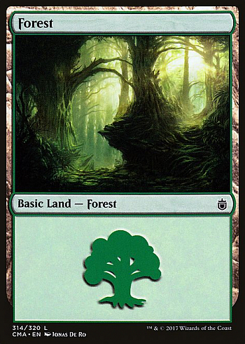 Forest