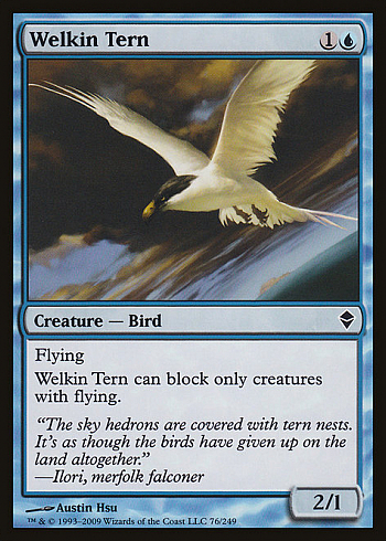 Welkin Tern