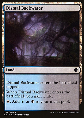 Dismal Backwater