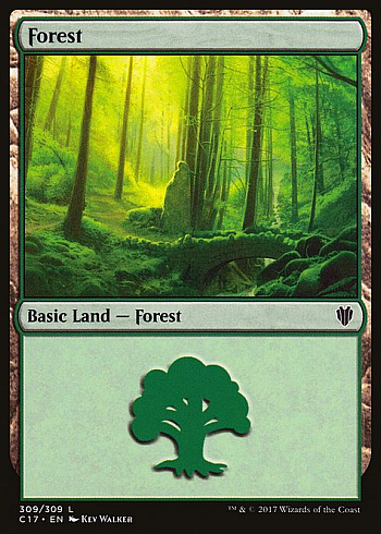 Forest