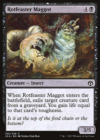 Rotfeaster Maggot