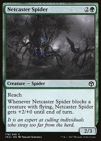 Netcaster Spider