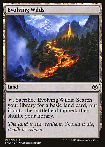 Evolving Wilds