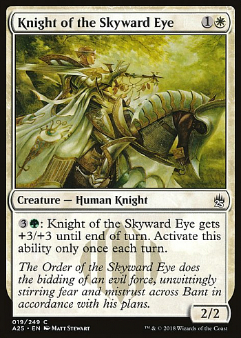 Knight of the Skyward Eye