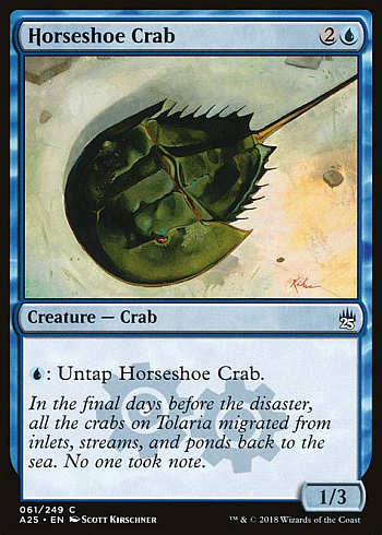 Horseshoe Crab