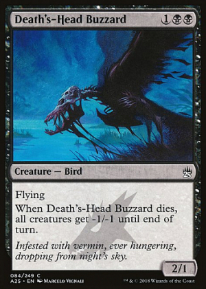 Death's-Head Buzzard