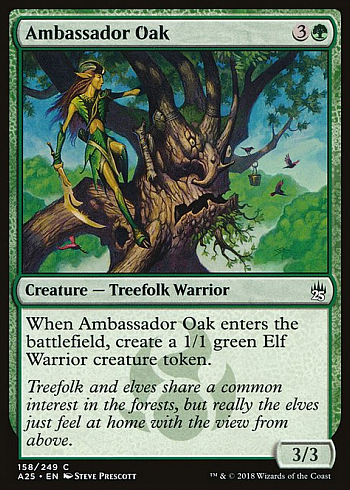 Ambassador Oak
