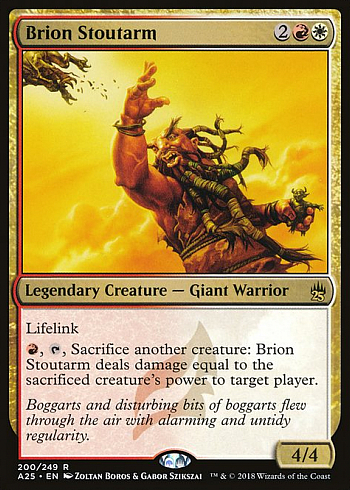 Brion Stoutarm