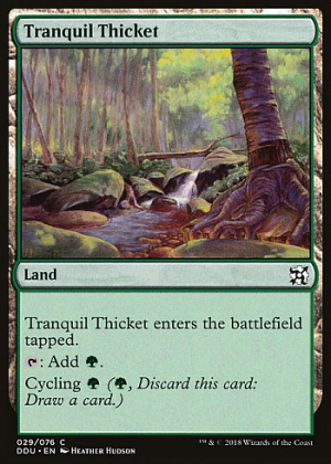 Tranquil Thicket