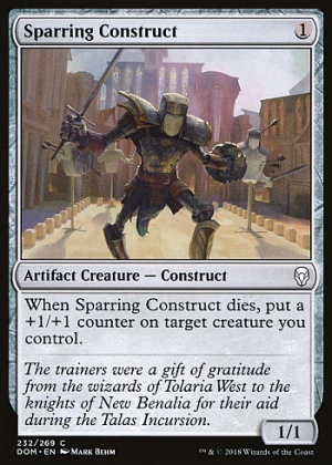 Sparring Construct