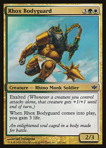 Rhox Bodyguard