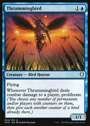 Thrummingbird