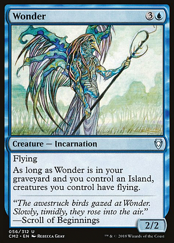 Wonder