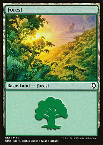 Forest