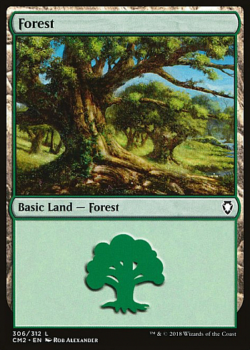 Forest