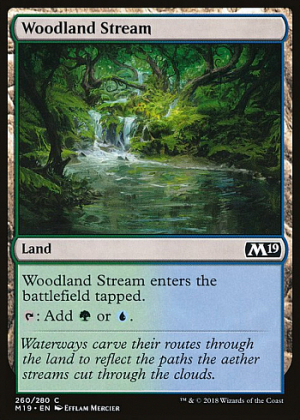 Woodland Stream