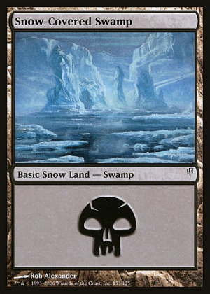 Snow-Covered Swamp