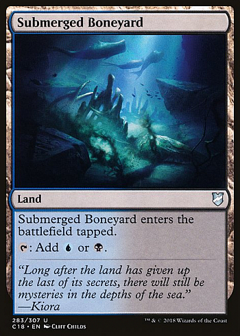 Submerged Boneyard