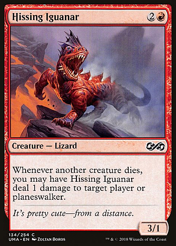 Hissing Iguanar