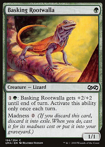 Basking Rootwalla