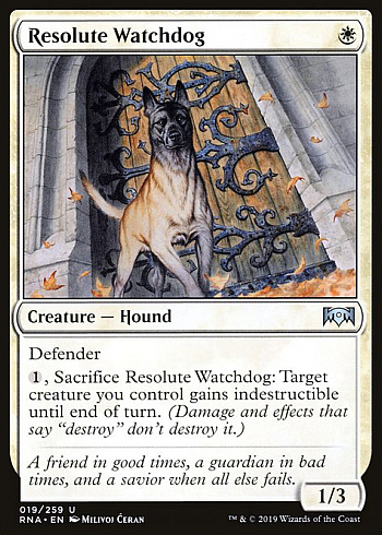 Resolute Watchdog