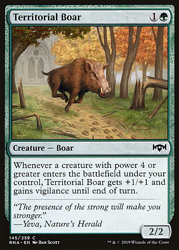 Territorial Boar
