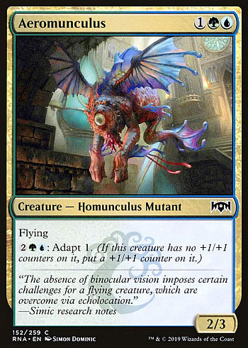 Aeromunculus