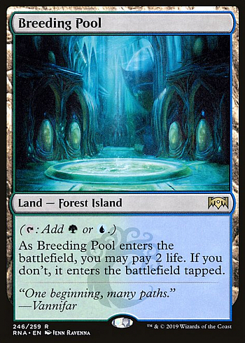 Breeding Pool