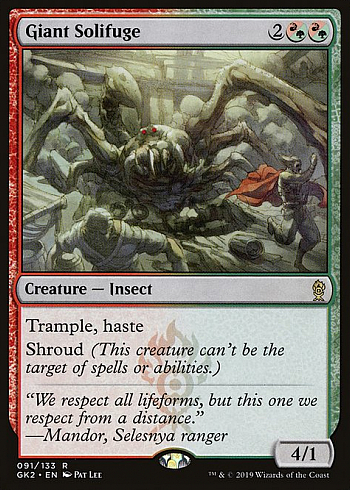 Giant Solifuge