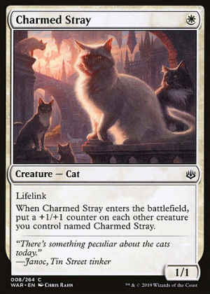 Charmed Stray