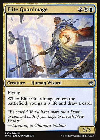 Elite Guardmage