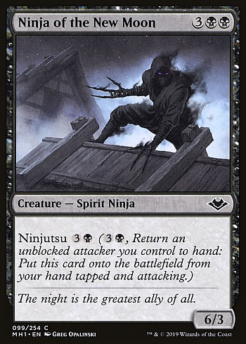 Ninja of the New Moon