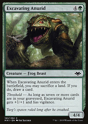 Excavating Anurid