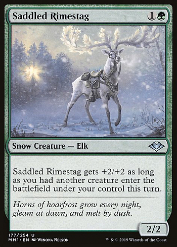 Saddled Rimestag