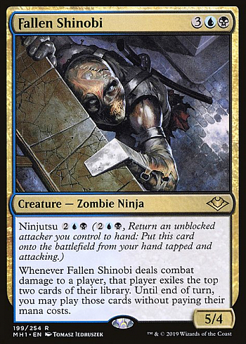 Fallen Shinobi