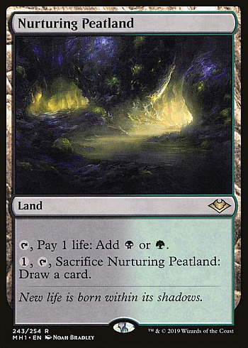 Nurturing Peatland