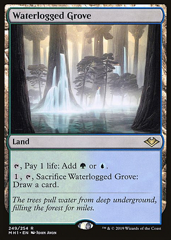 Waterlogged Grove