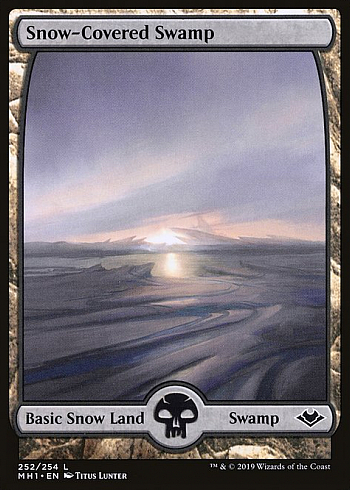 Snow-Covered Swamp