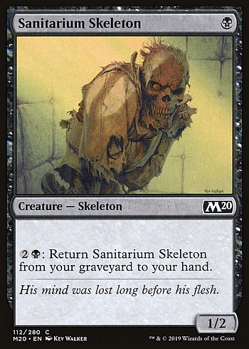 Sanitarium Skeleton