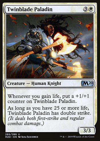 Twinblade Paladin